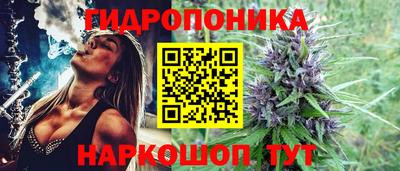мяу мяу мука Бугуруслан