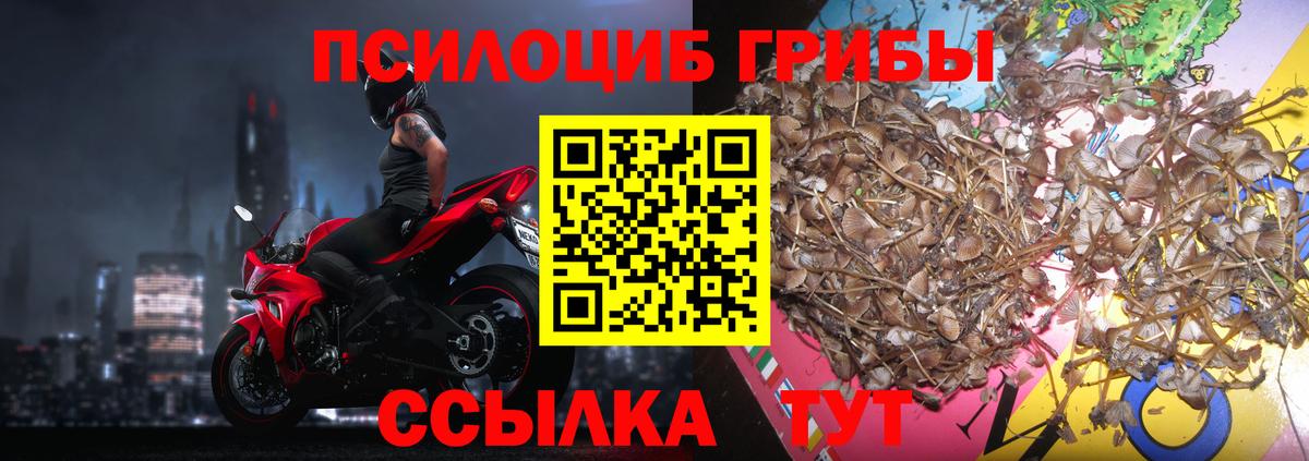 Псилоцибиновые грибы MAGIC MUSHROOMS Туапсе